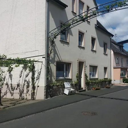 Junglen An Der Mosel * Zeltingen-Rachtig