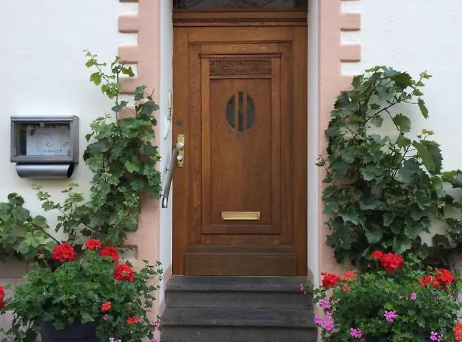 Junglen An Der Mosel Apartamento Zeltingen-Rachtig