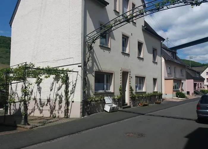 Junglen An Der Mosel * Zeltingen-Rachtig